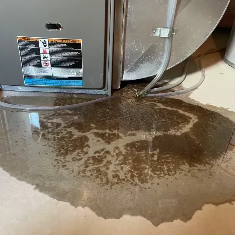 Appliance Leak Cleanup in Overland, MO